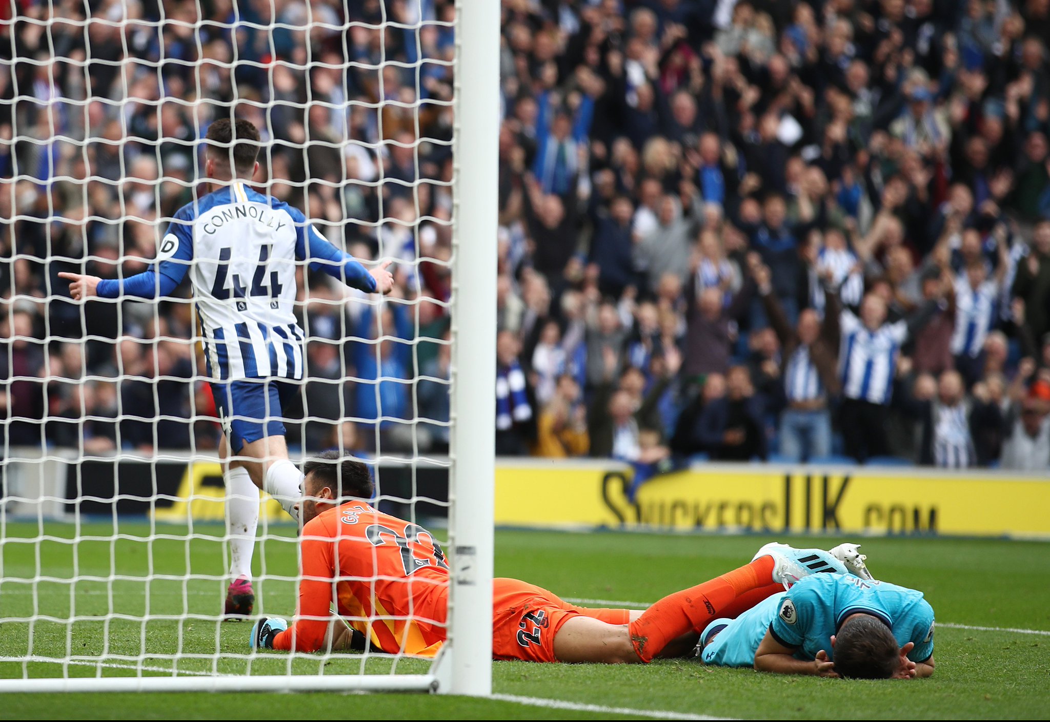 入了新的活 入了新的活